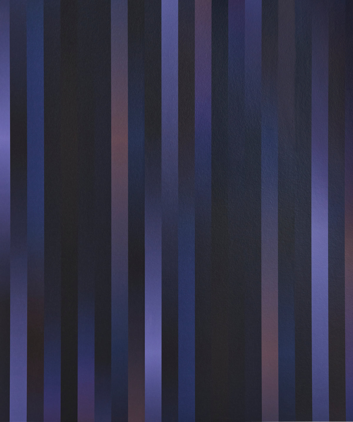317545.jpg