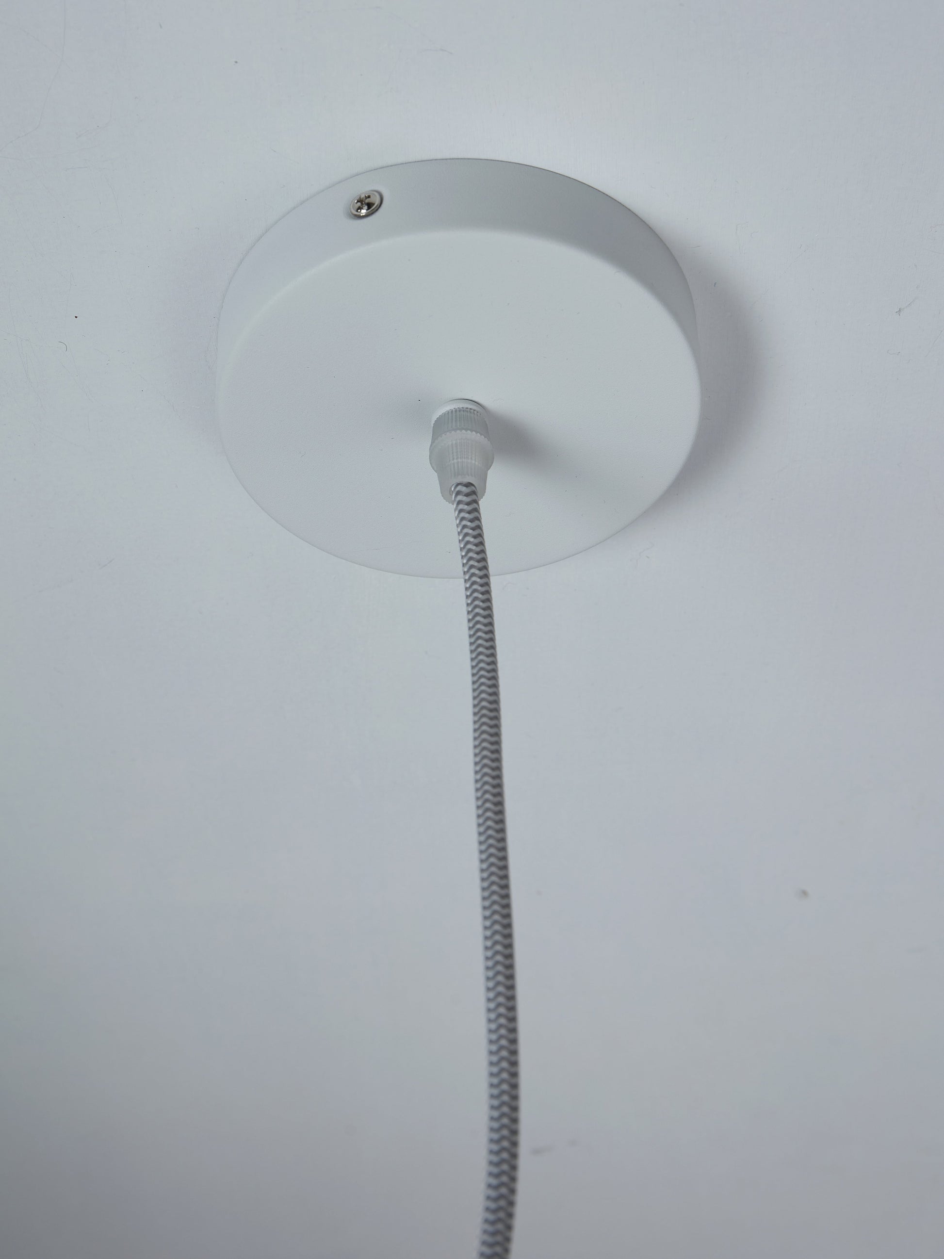 320051.jpg