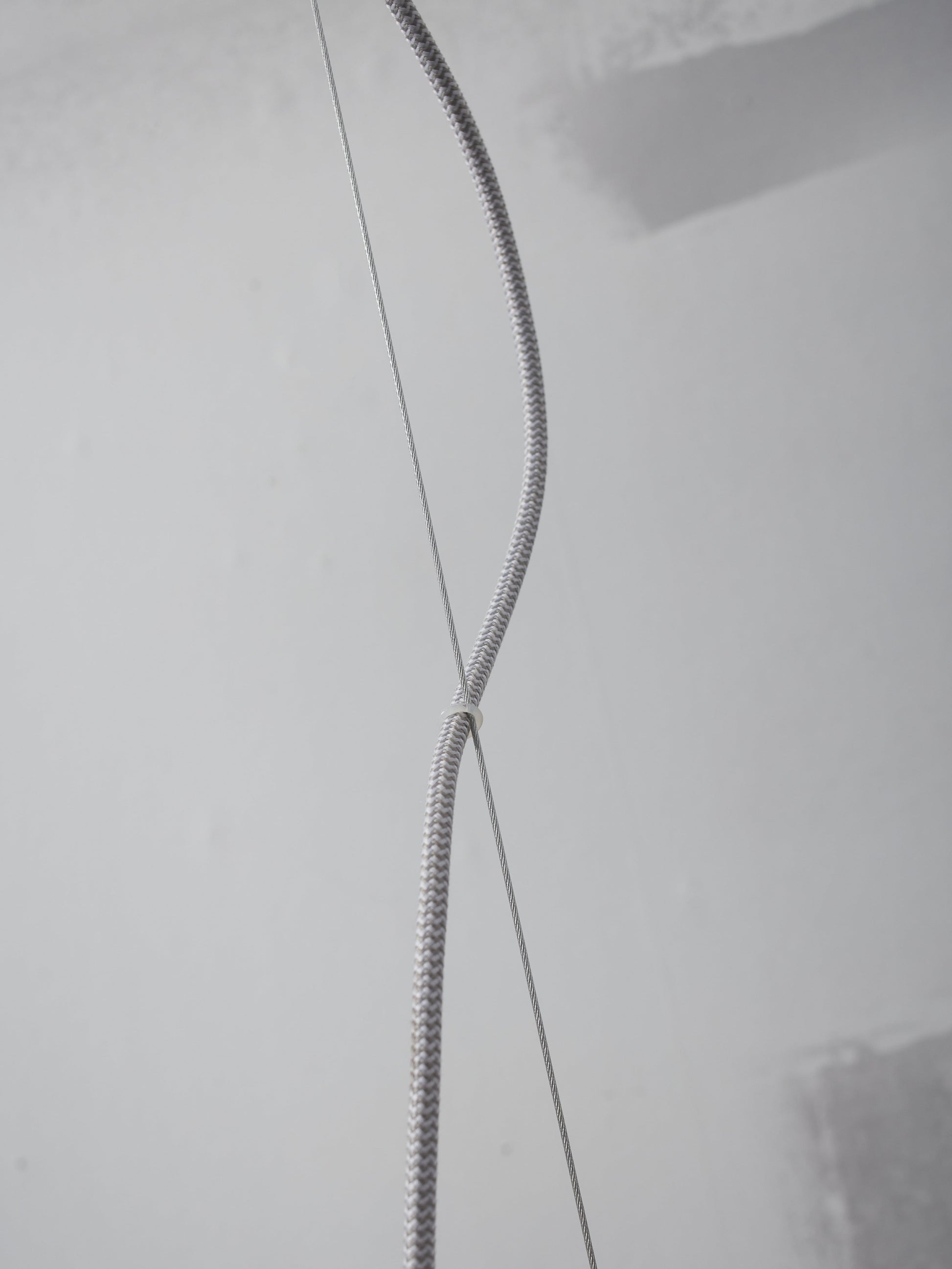 322600.jpg