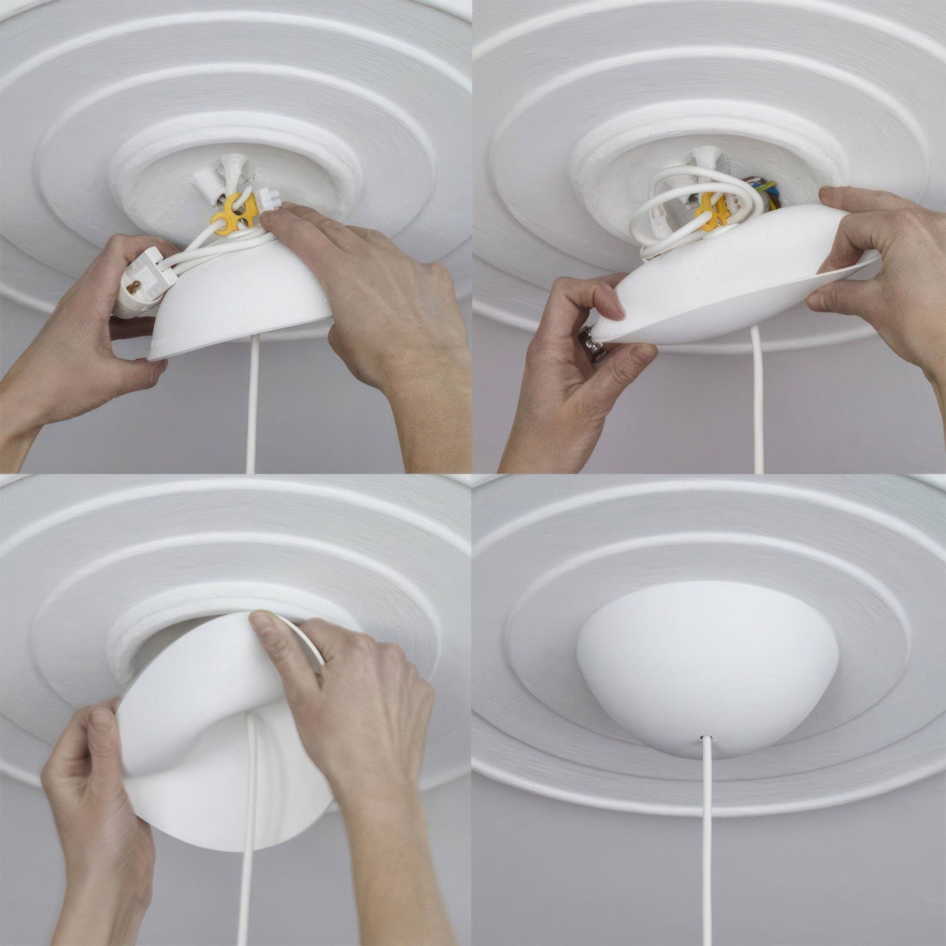 337684.jpg