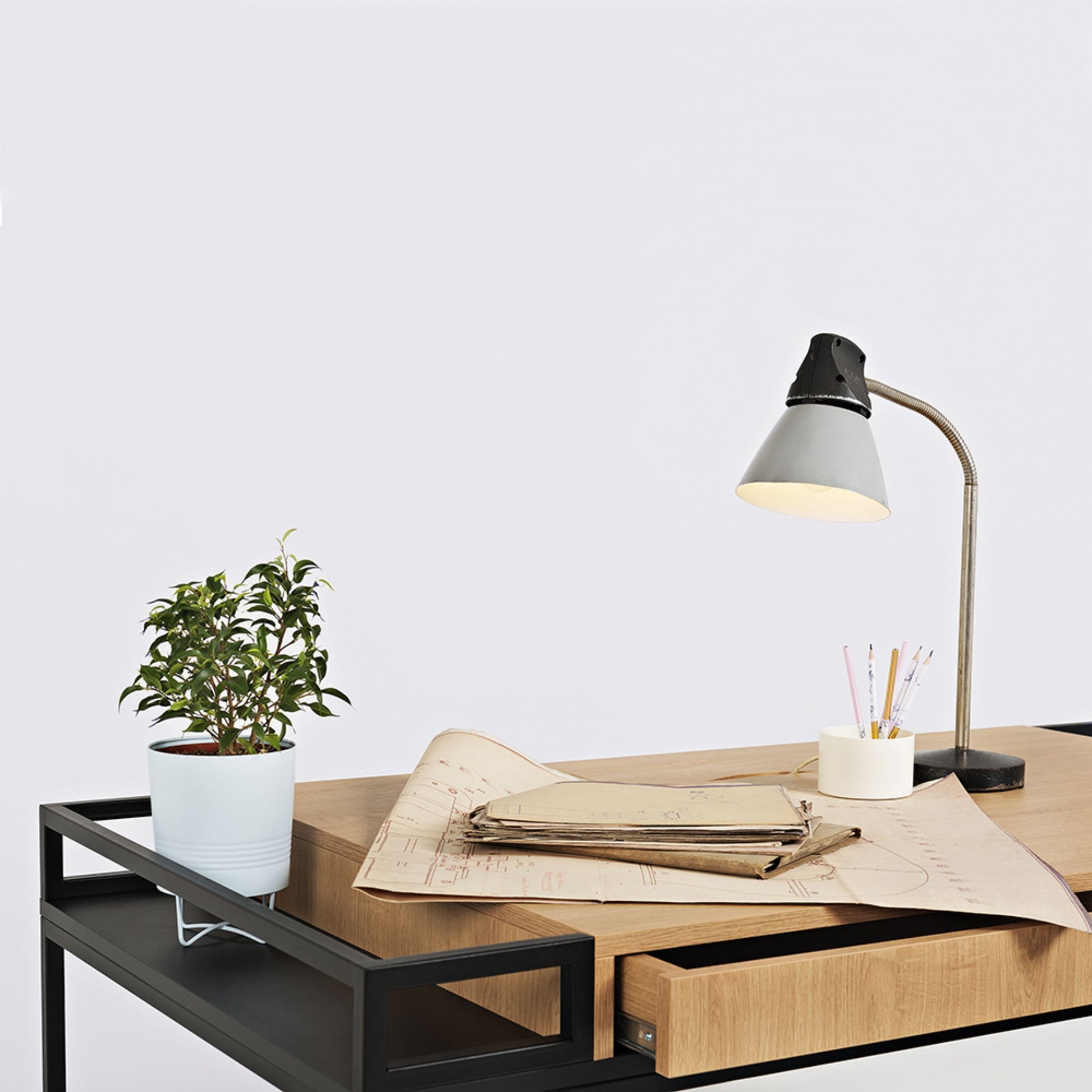 338021.jpg