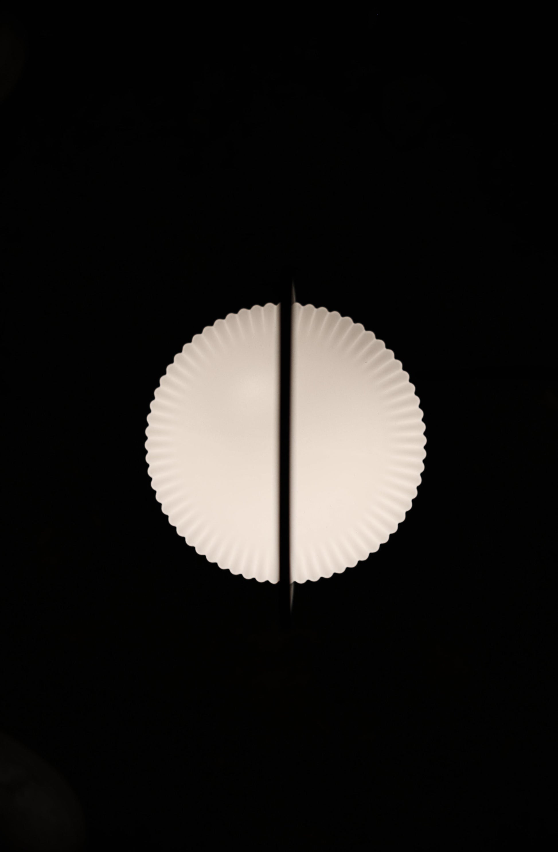 338497.jpg