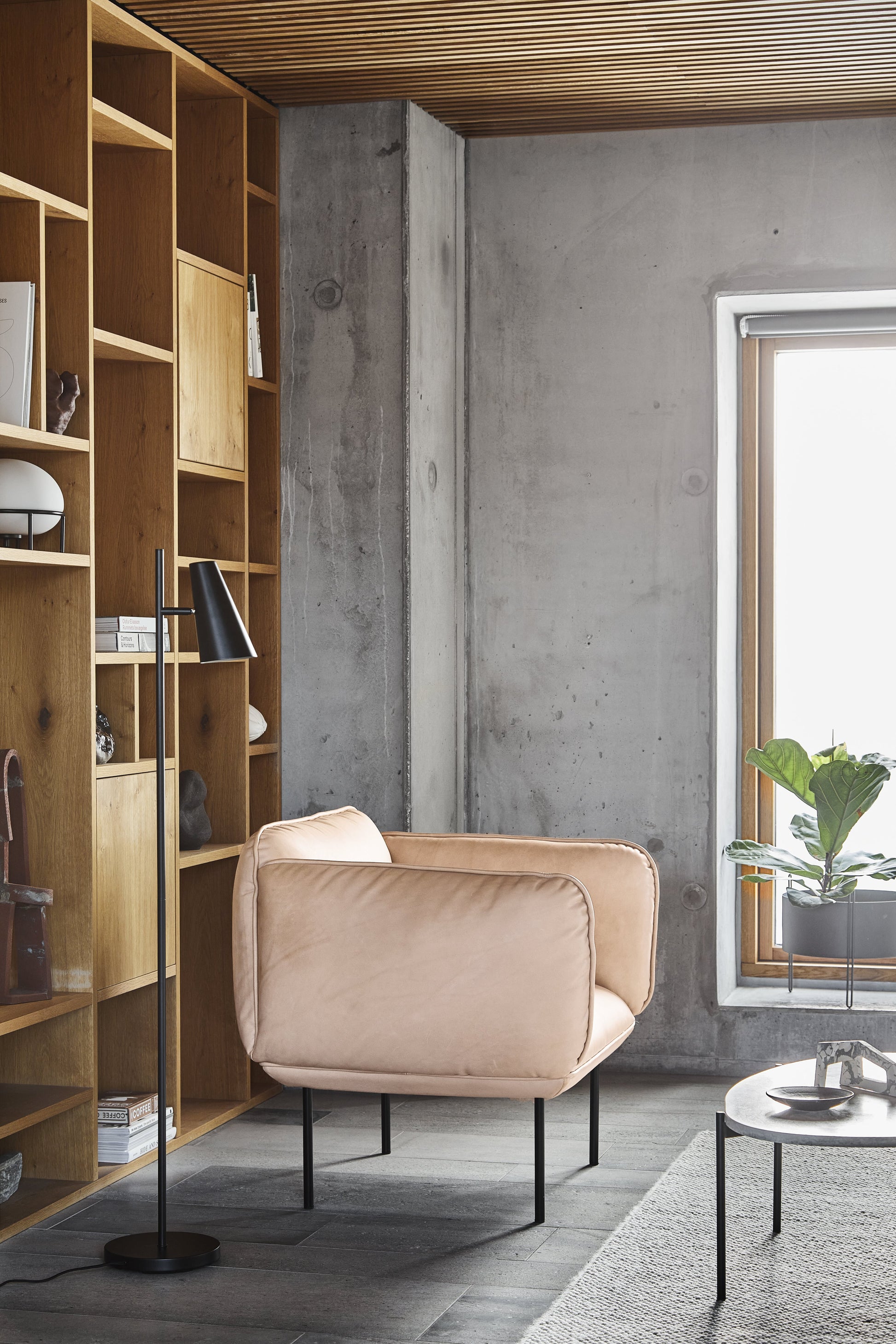 338535.jpg