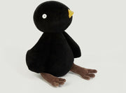 peluche-merle-noir-pierre-adada-1