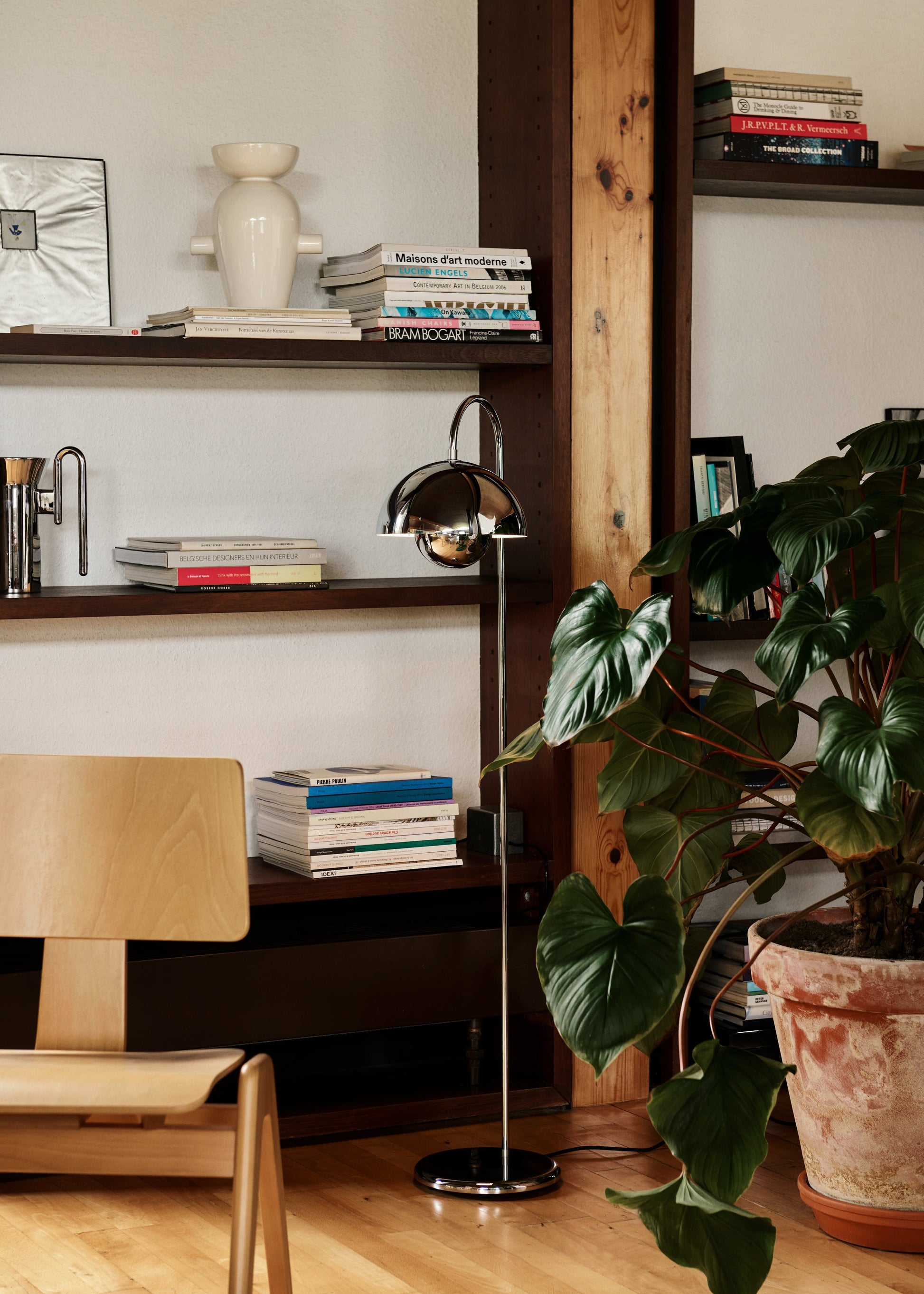 354971.jpg
