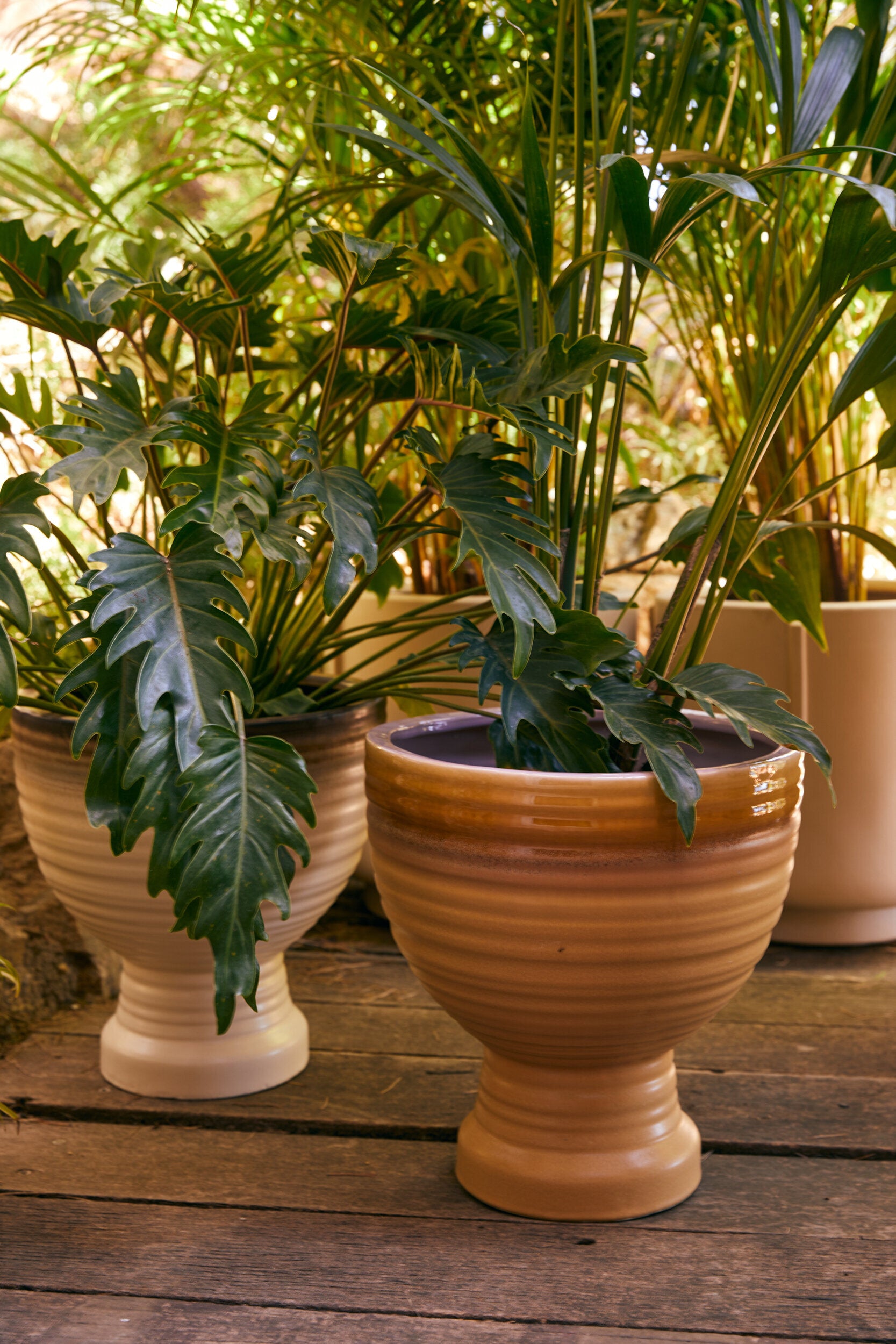 Jardinière en grès Vanille - HKLIVING — 355523.jpg
