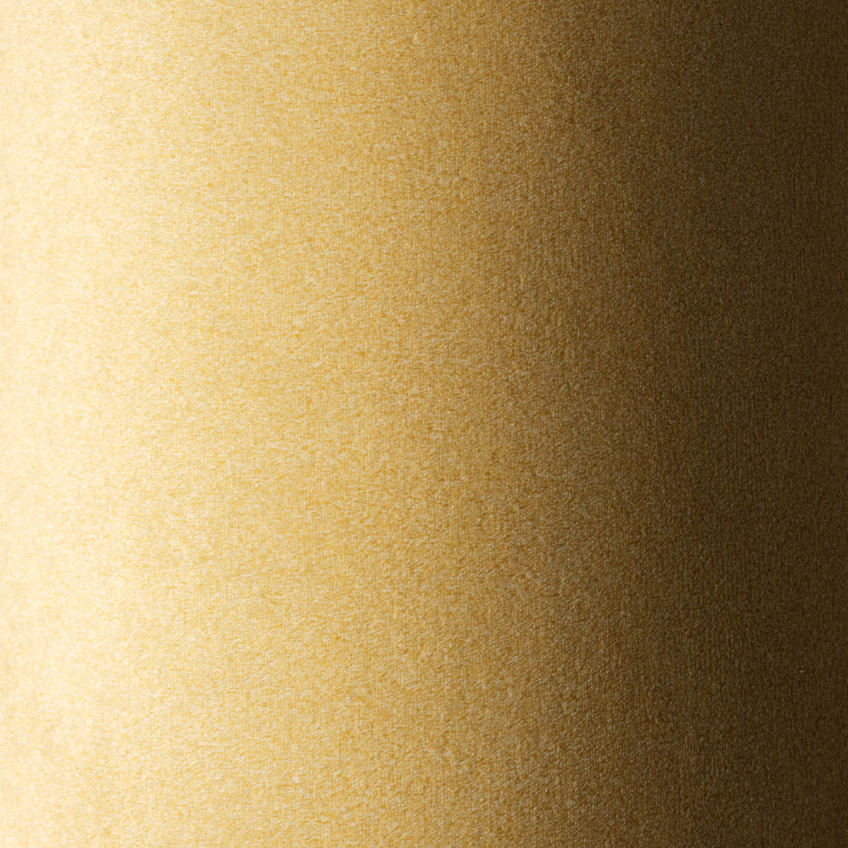 362991.jpg