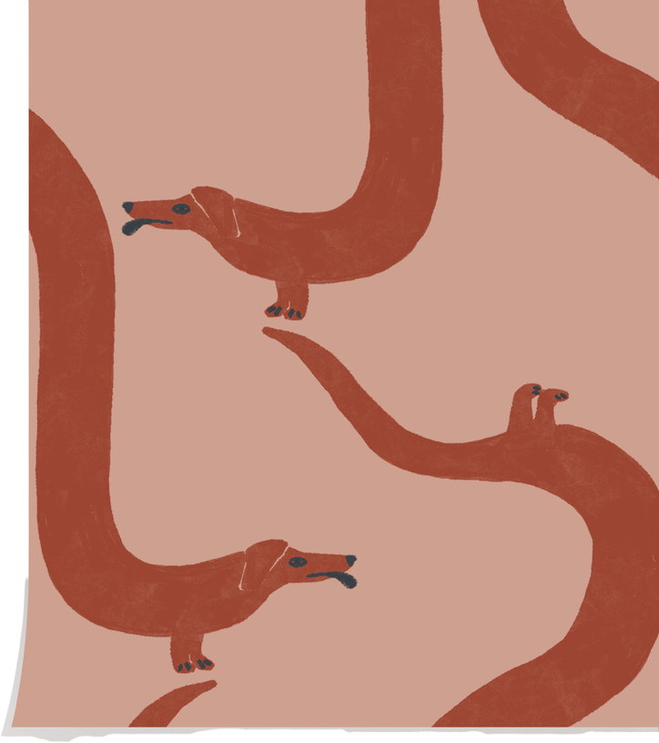 papier-peint-en-papier-intisse-teckel-terre-50x100cm-acrobatic-season-paper-1