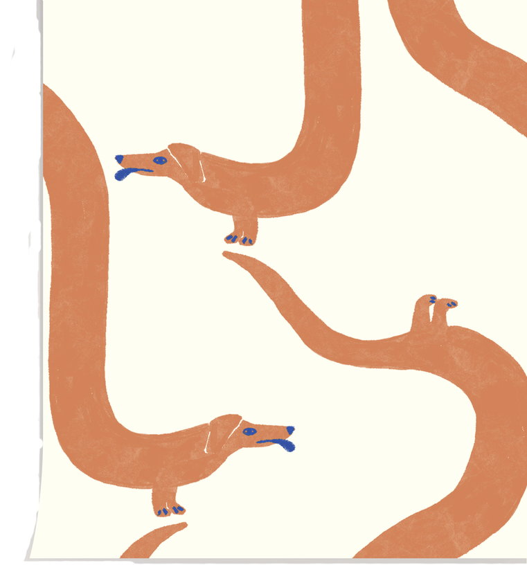 papier-peint-en-papier-intisse-teckel-lait-50x100cm-acrobatic-season-paper-1