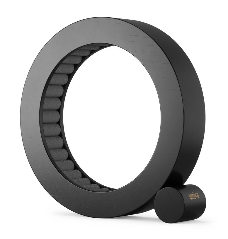 solution-de-rangement-pour-bijoux-noir-ferris-umbra-2