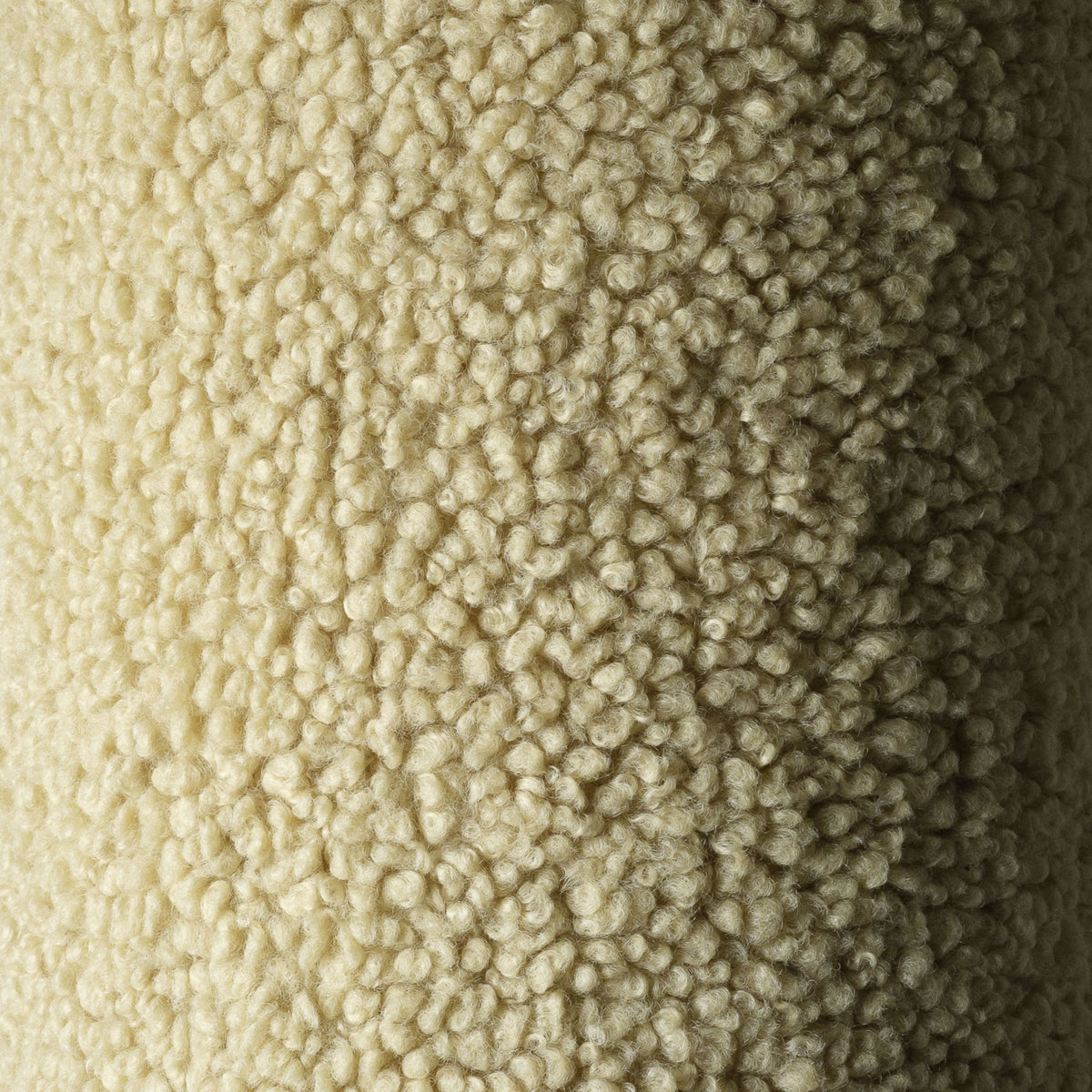 364804.jpg