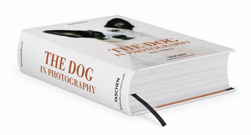 livre-relie-14x19-5cm-680-pages-the-dog-in-photography-1839-today-taschen-2