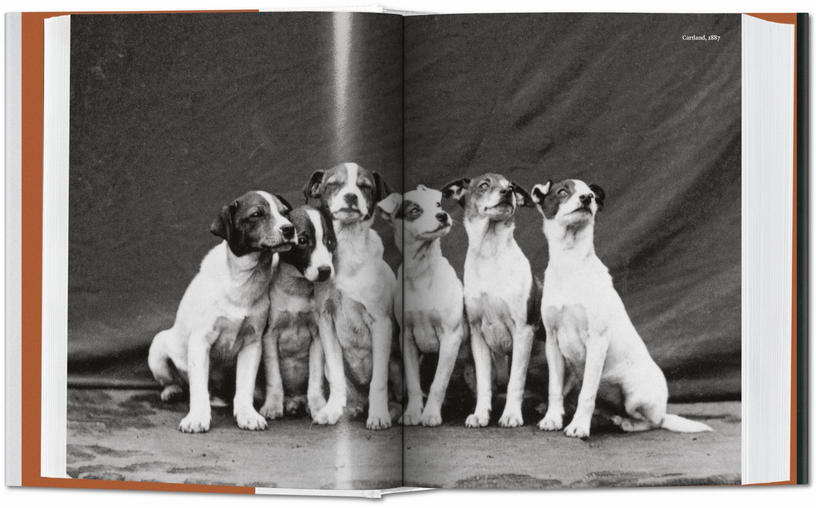 livre-relie-14x19-5cm-680-pages-the-dog-in-photography-1839-today-taschen-3