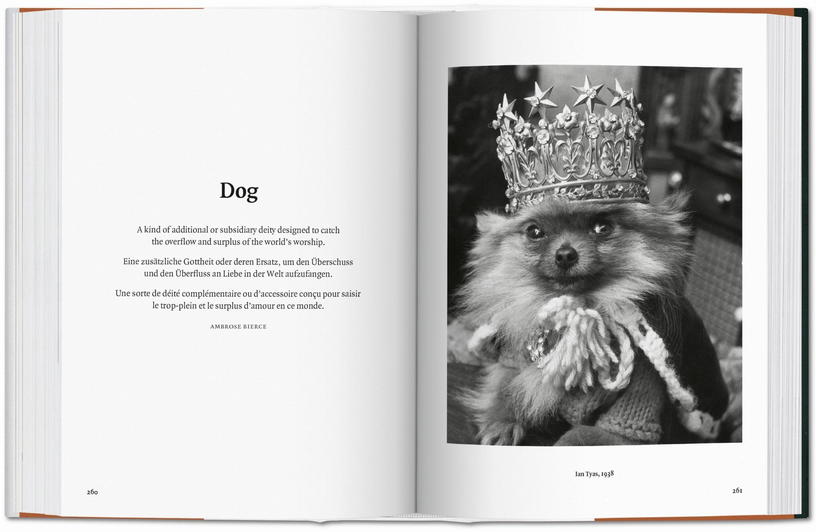 livre-relie-14x19-5cm-680-pages-the-dog-in-photography-1839-today-taschen-5