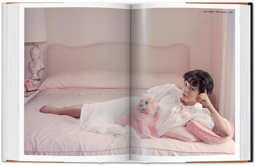 livre-relie-14x19-5cm-680-pages-the-dog-in-photography-1839-today-taschen-7