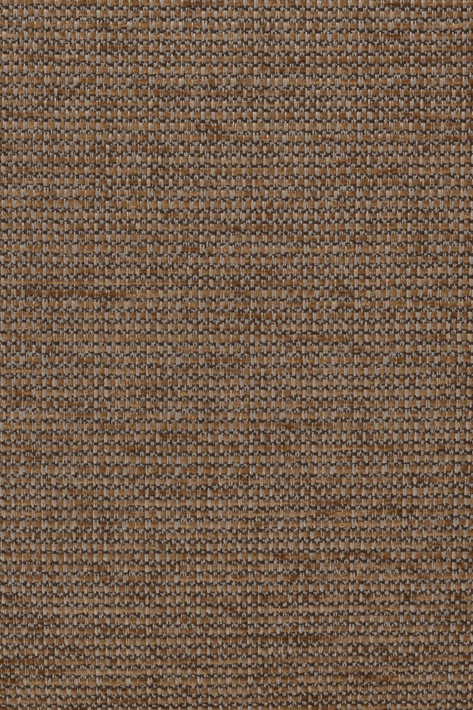 371519.jpg