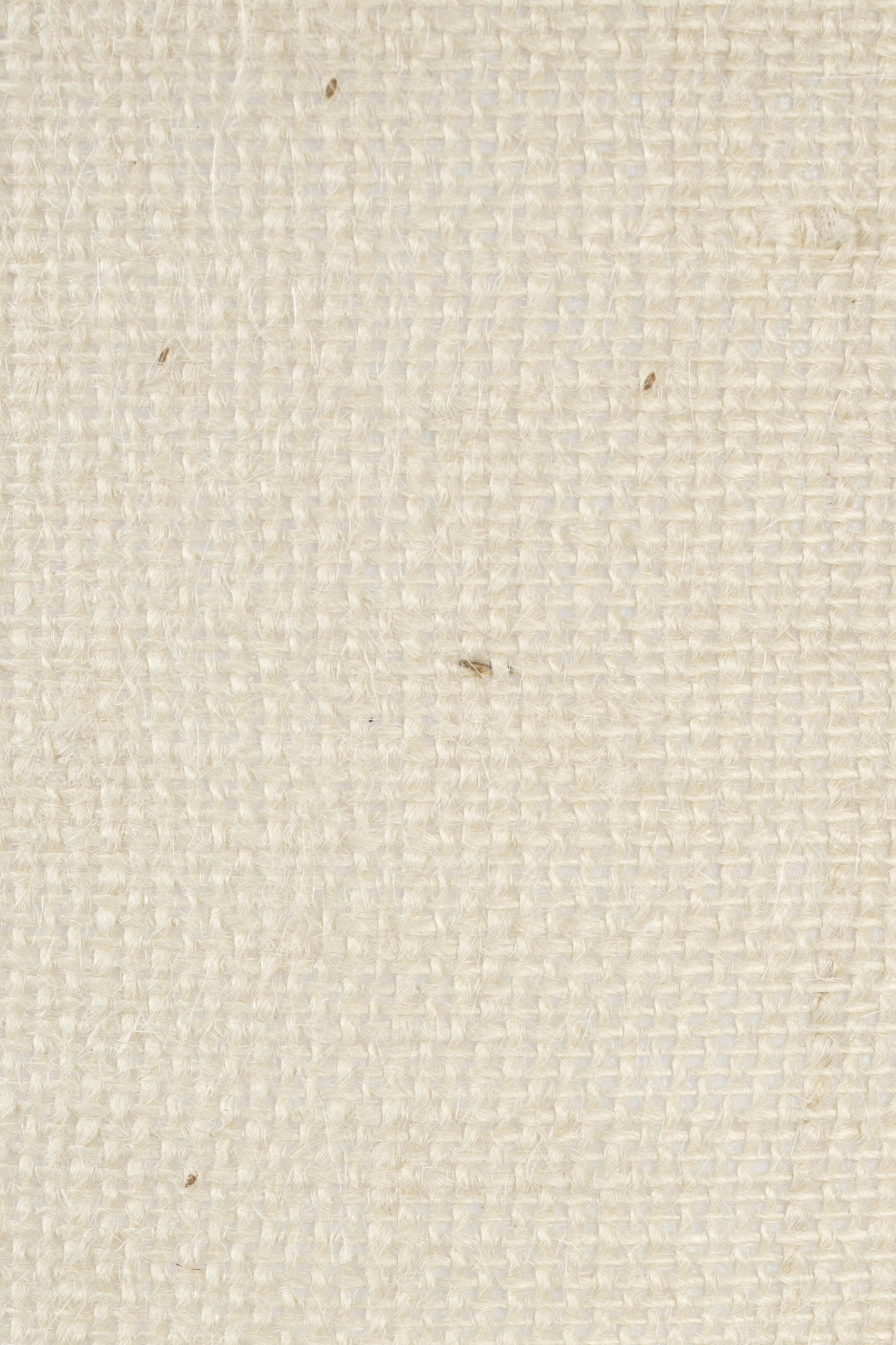 371724.jpg