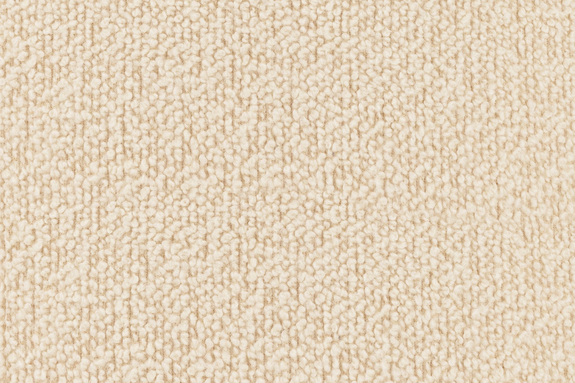 372966.jpg