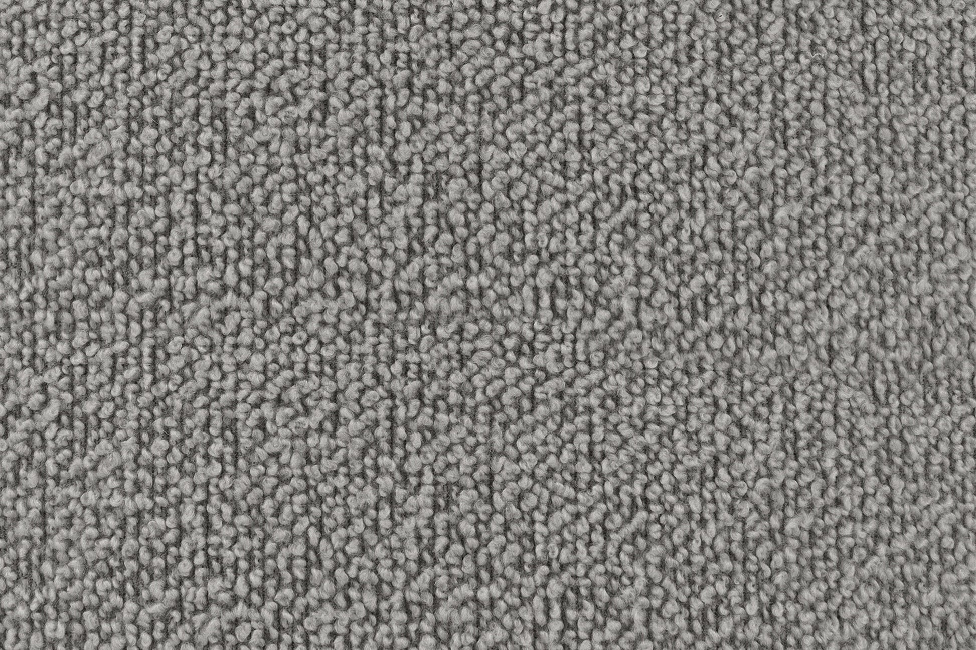 373018.jpg