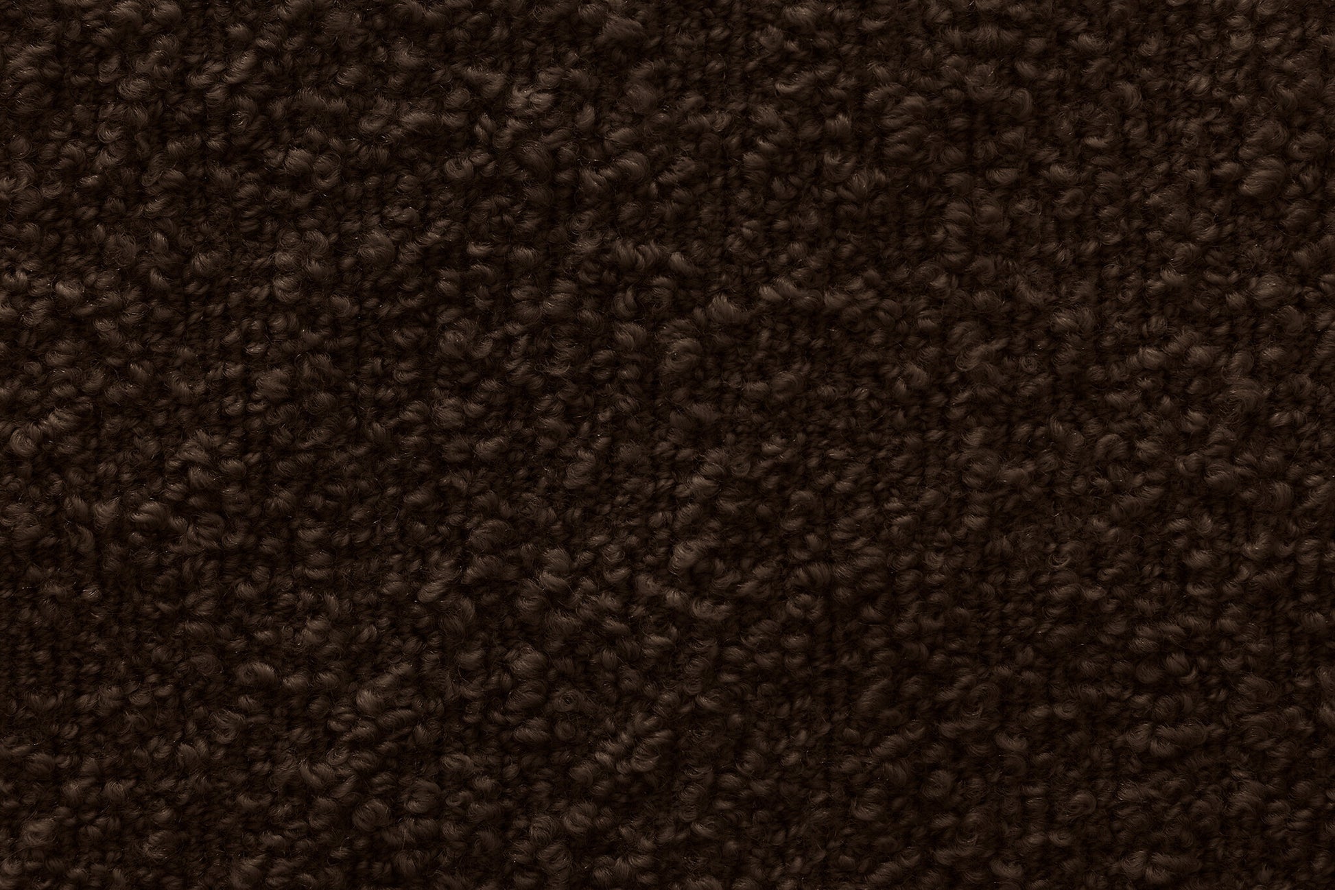 373117.jpg