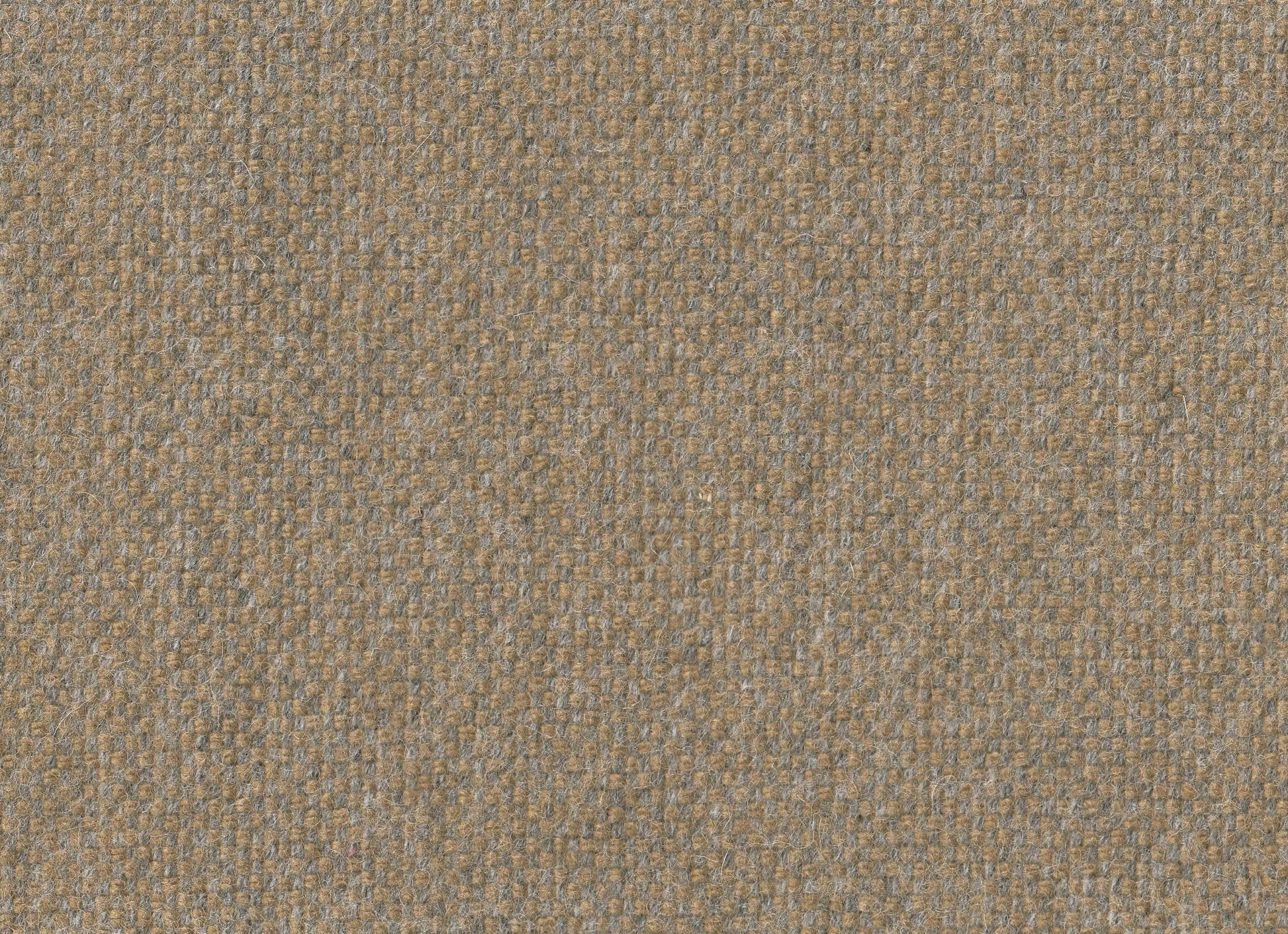 373135.jpg
