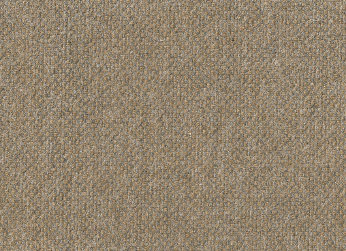 373135.jpg