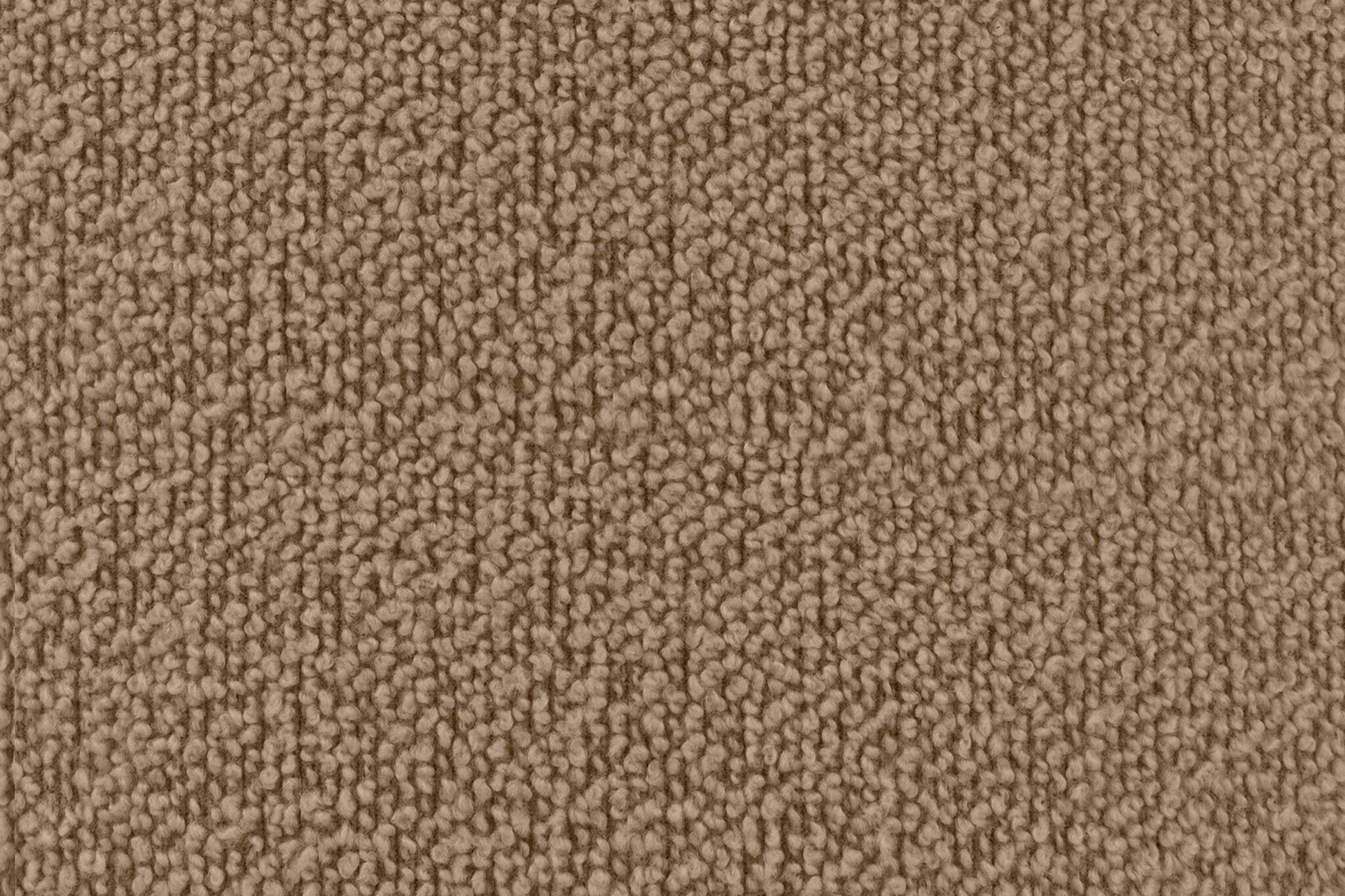 373985.jpg