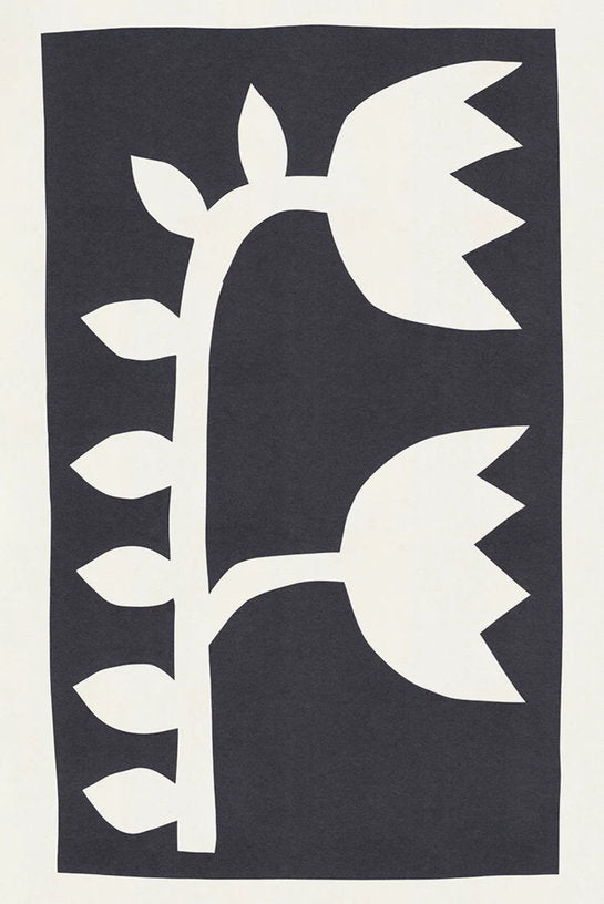 affiche-30x40cm-black-tulip-2-blue-shaker-1