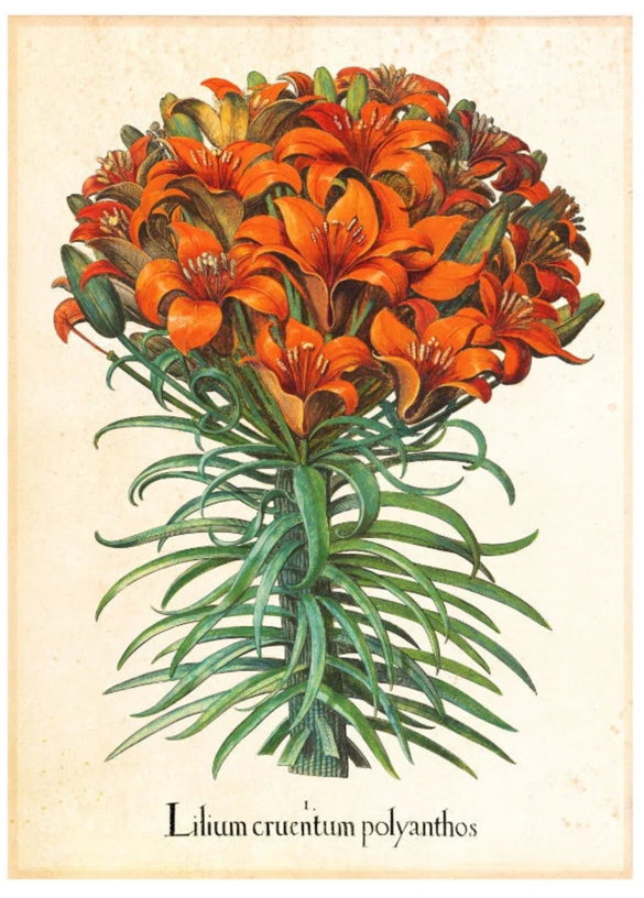 affiche-30x40cm-pl-illum-blue-shaker-1