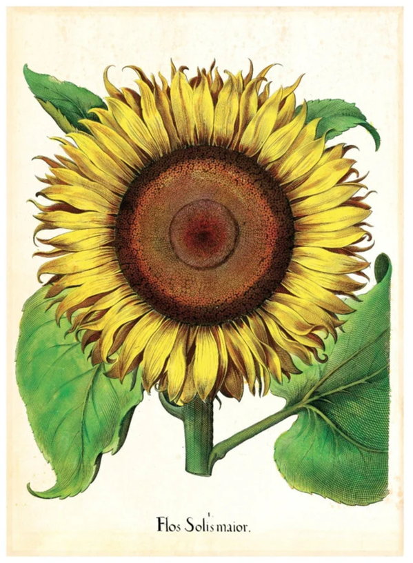 affiche-30x40cm-pl-flos-alone-blue-shaker-1