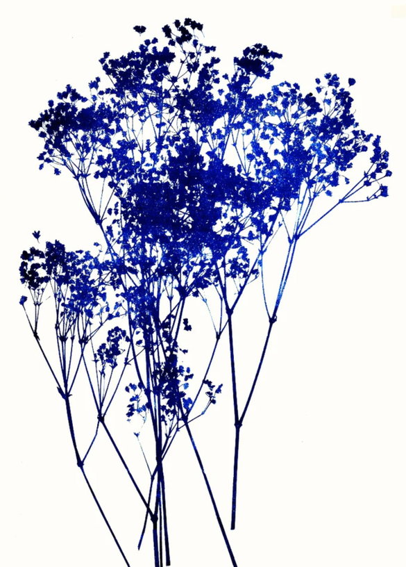 affiche-30x40cm-baby-breath-1-blue-shaker-1