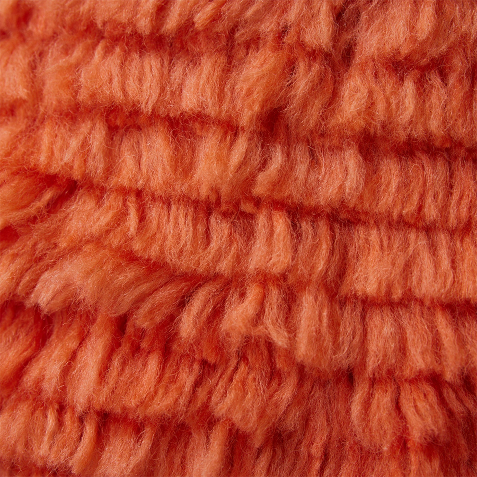 376014.jpg