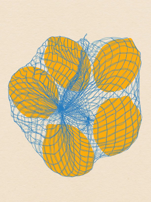 affiche-30x40cm-five-lemons-in-a-net-bag-blue-shaker-1