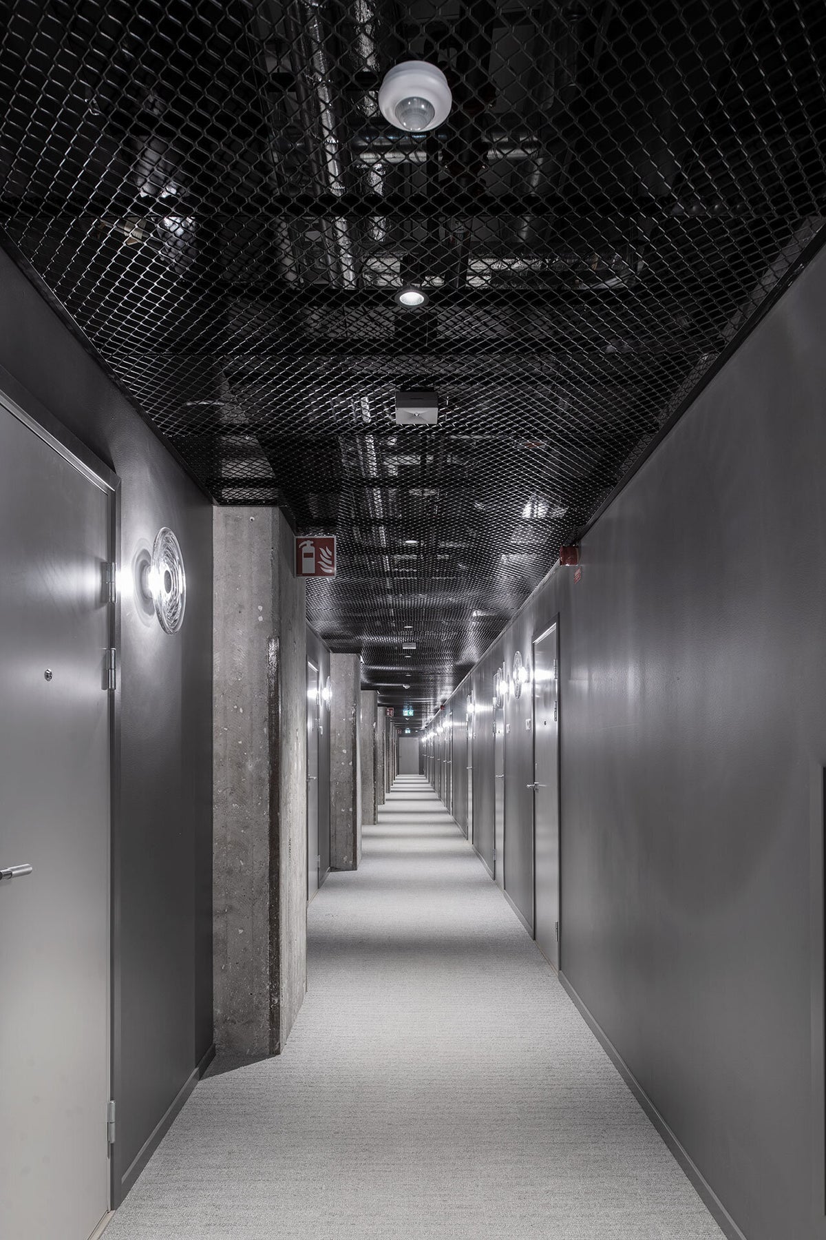 376685.jpg