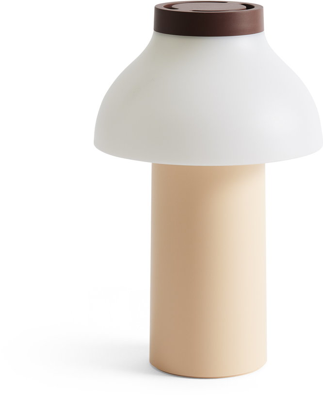 lampe-nomade-peche-bicolore-22-x-14-cm-pc-portable-hay-1