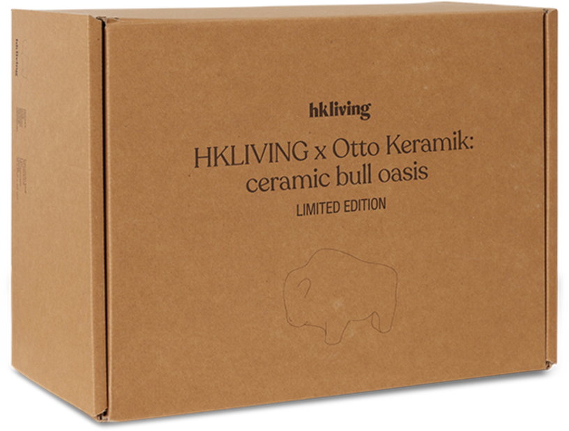 oasis-de-taureau-en-ceramique-hkliving-7