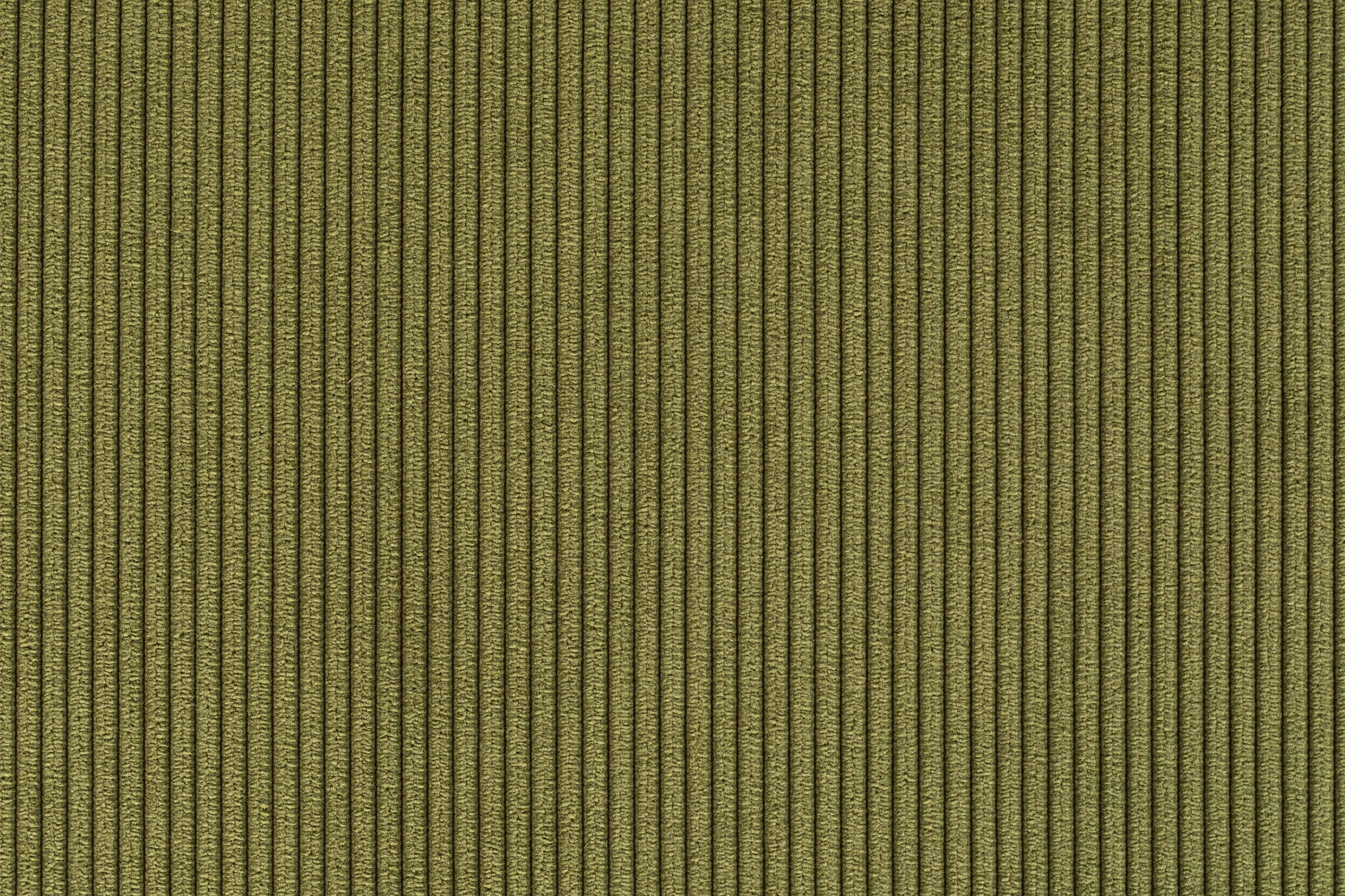 378035.jpg
