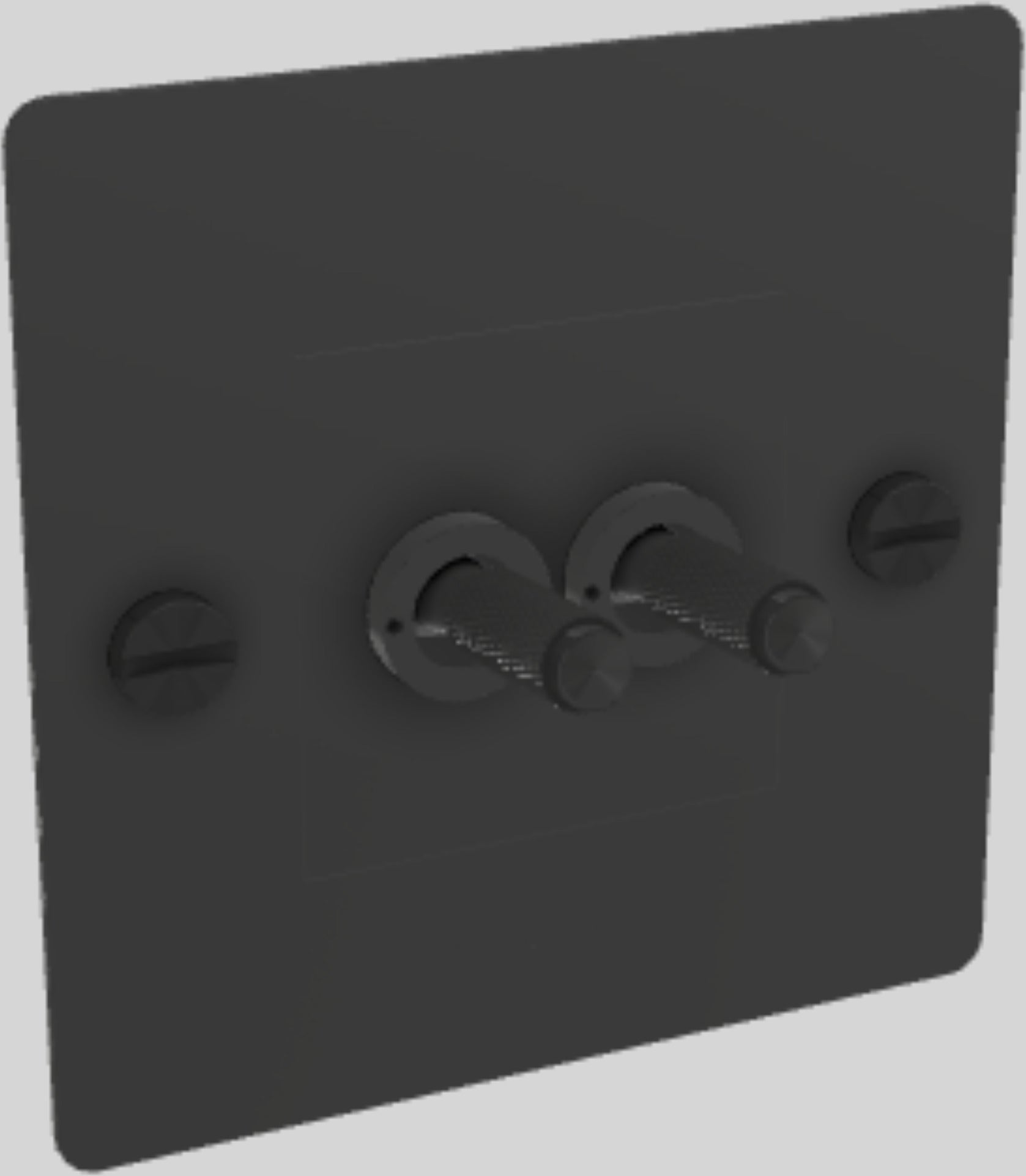 Interrupteur 1G double noir TOGGLE SWITCH  - Buster+Punch — 378252.jpg