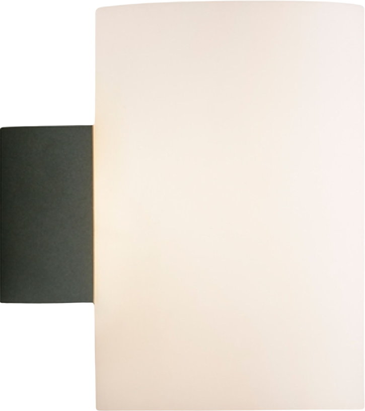 applique-murale-de-salle-de-bain-en-metal-anthracite-et-verre-opale-16x18x12cm-evoke-herstal-1
