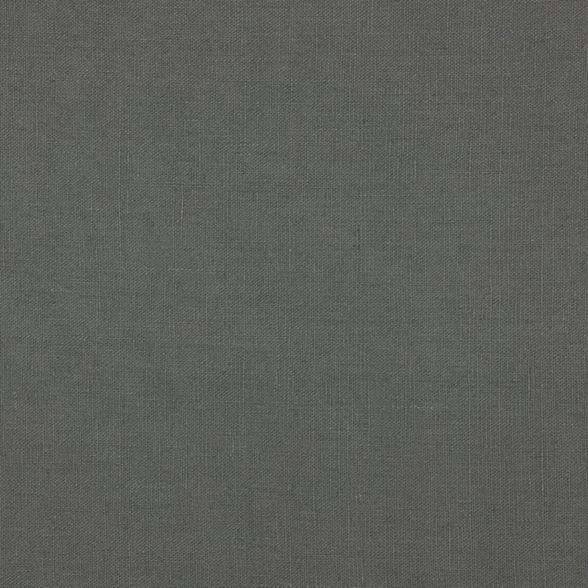 380557.jpg