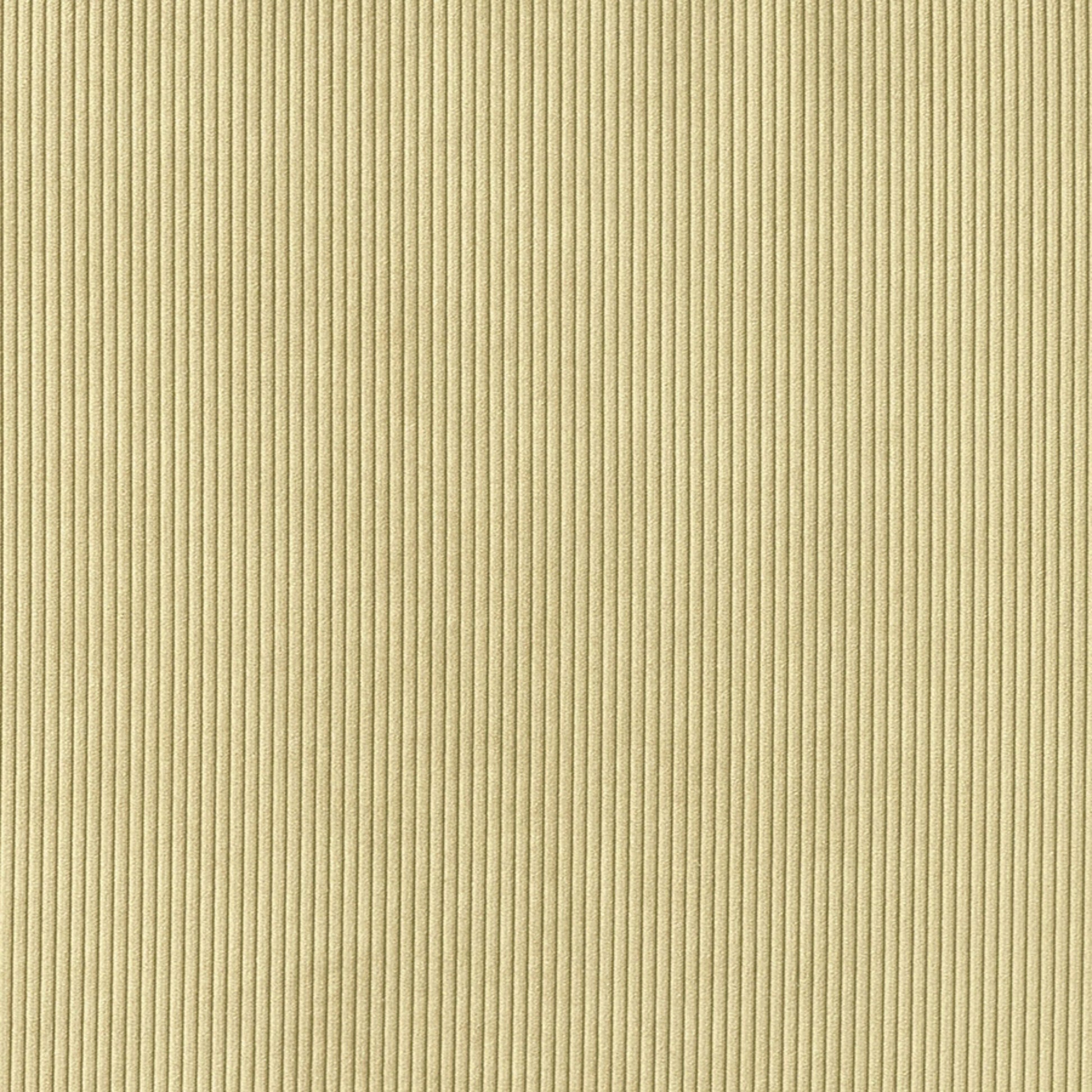 380975.jpg