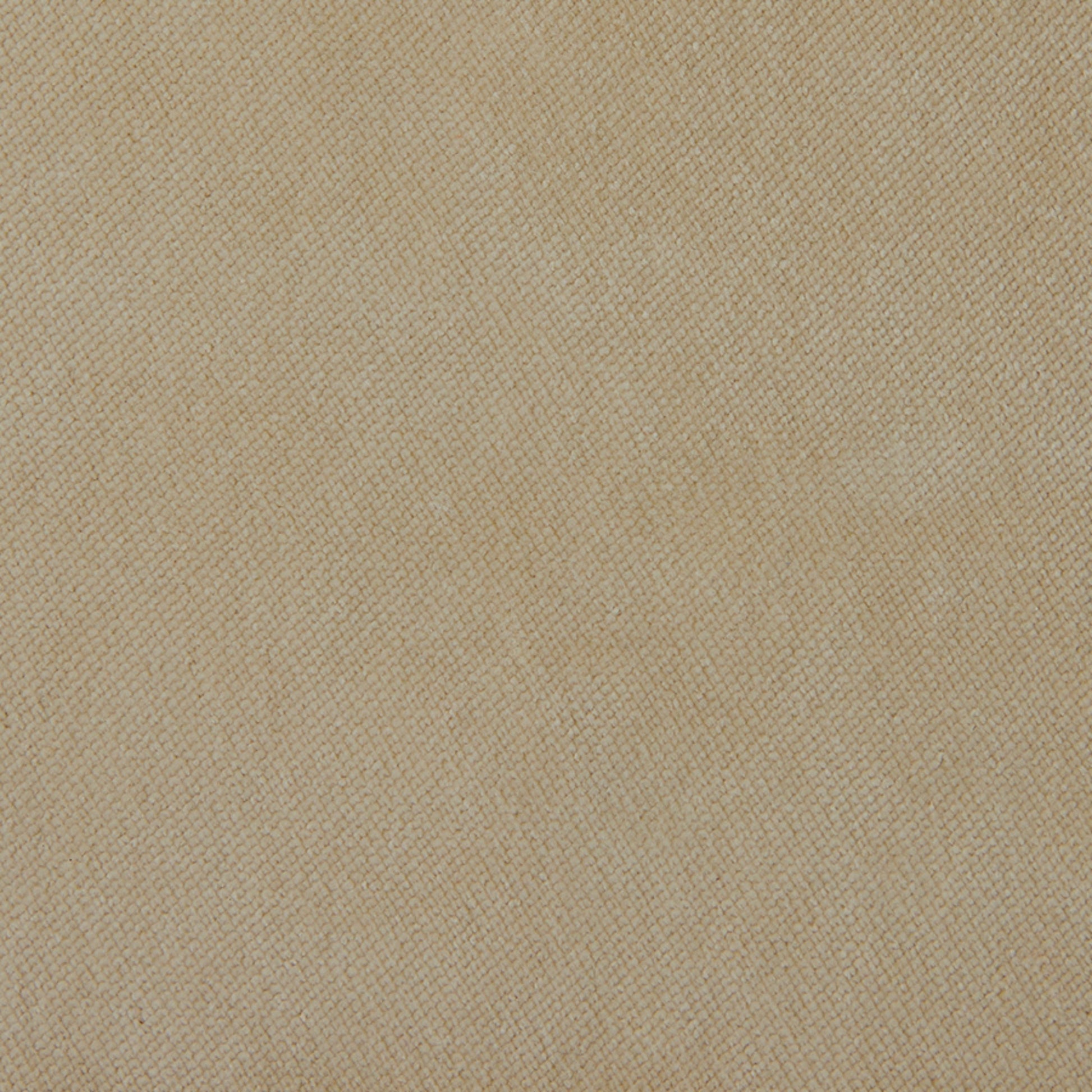 381108.jpg