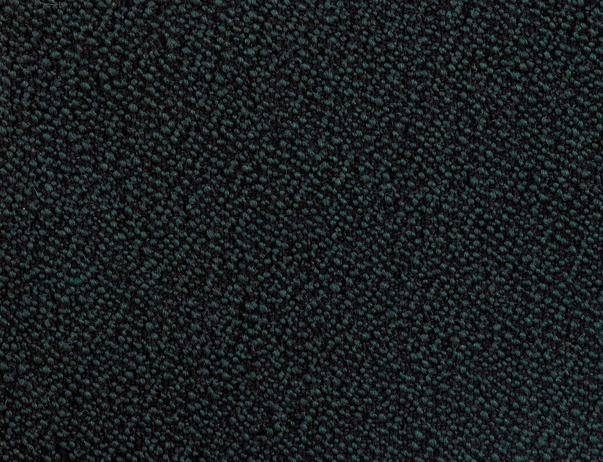 381376.jpg