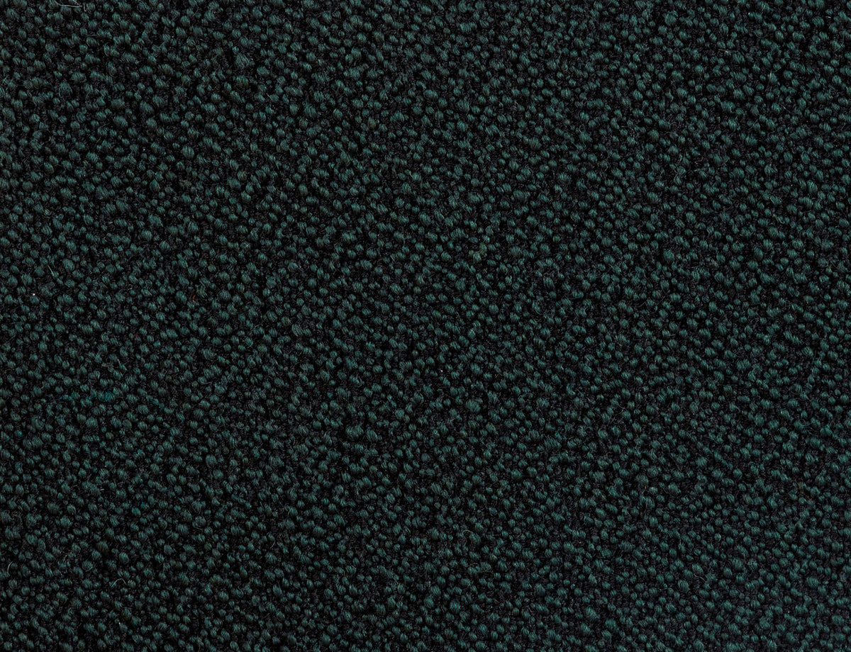 381376.jpg