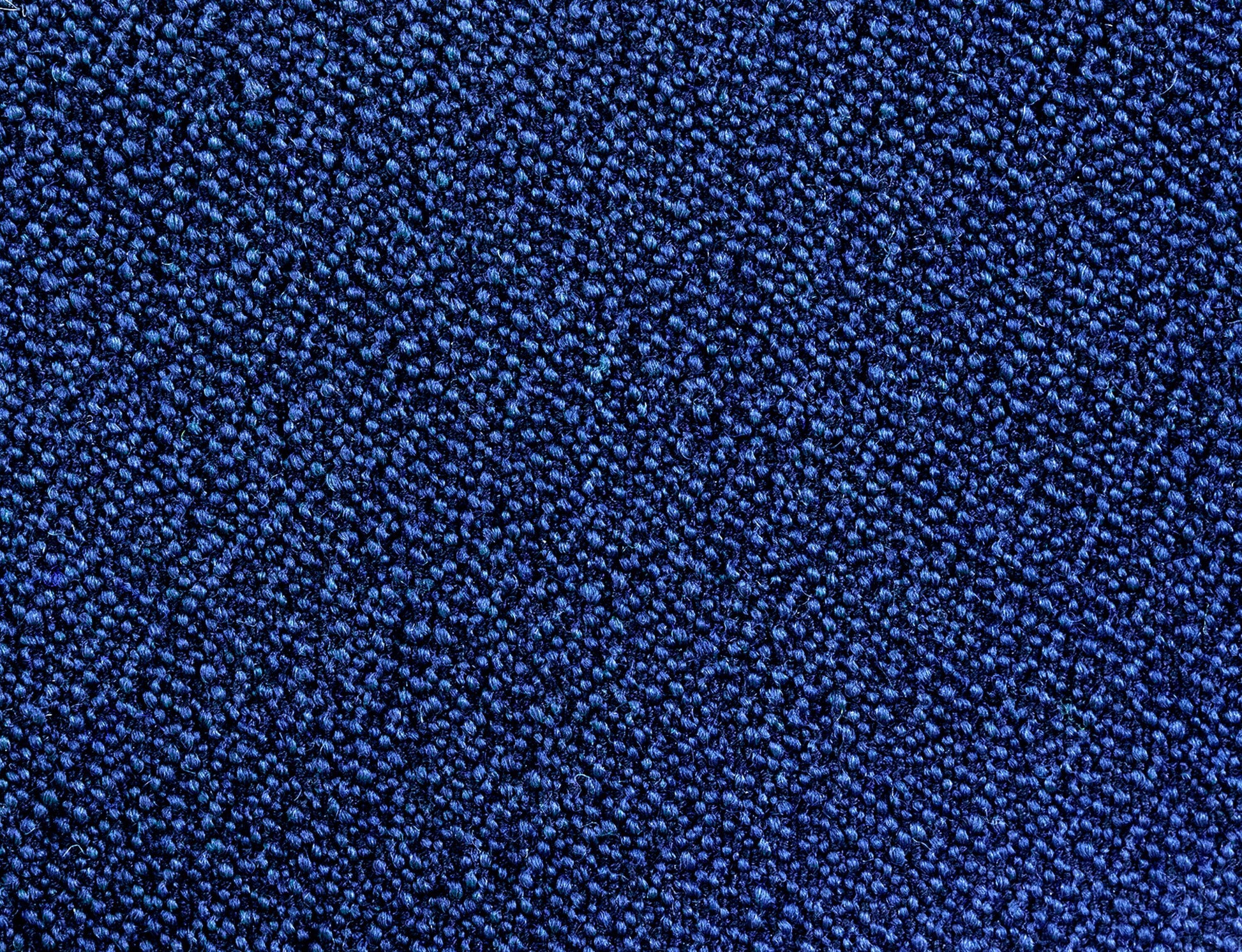 381404.jpg