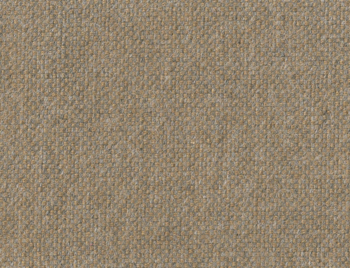 381468.jpg