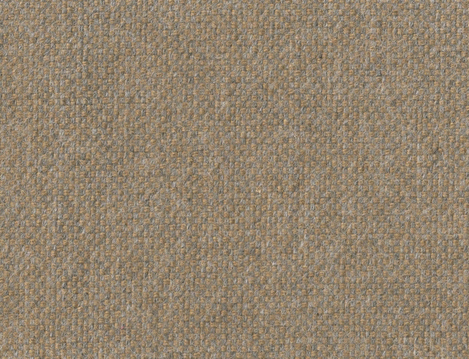 381468.jpg