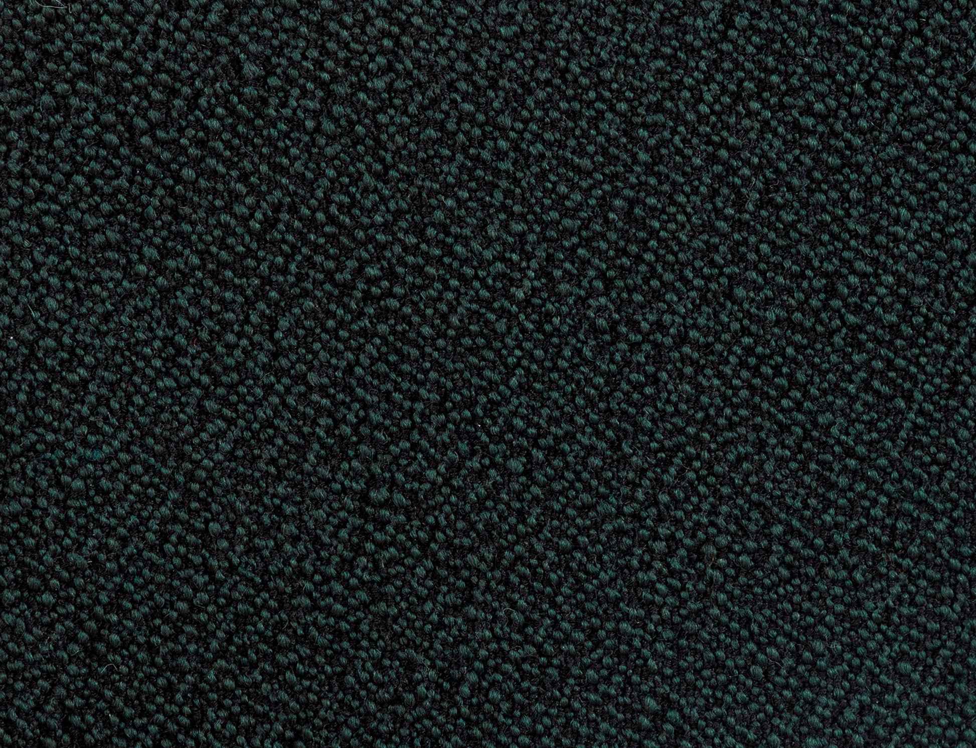 381483.jpg