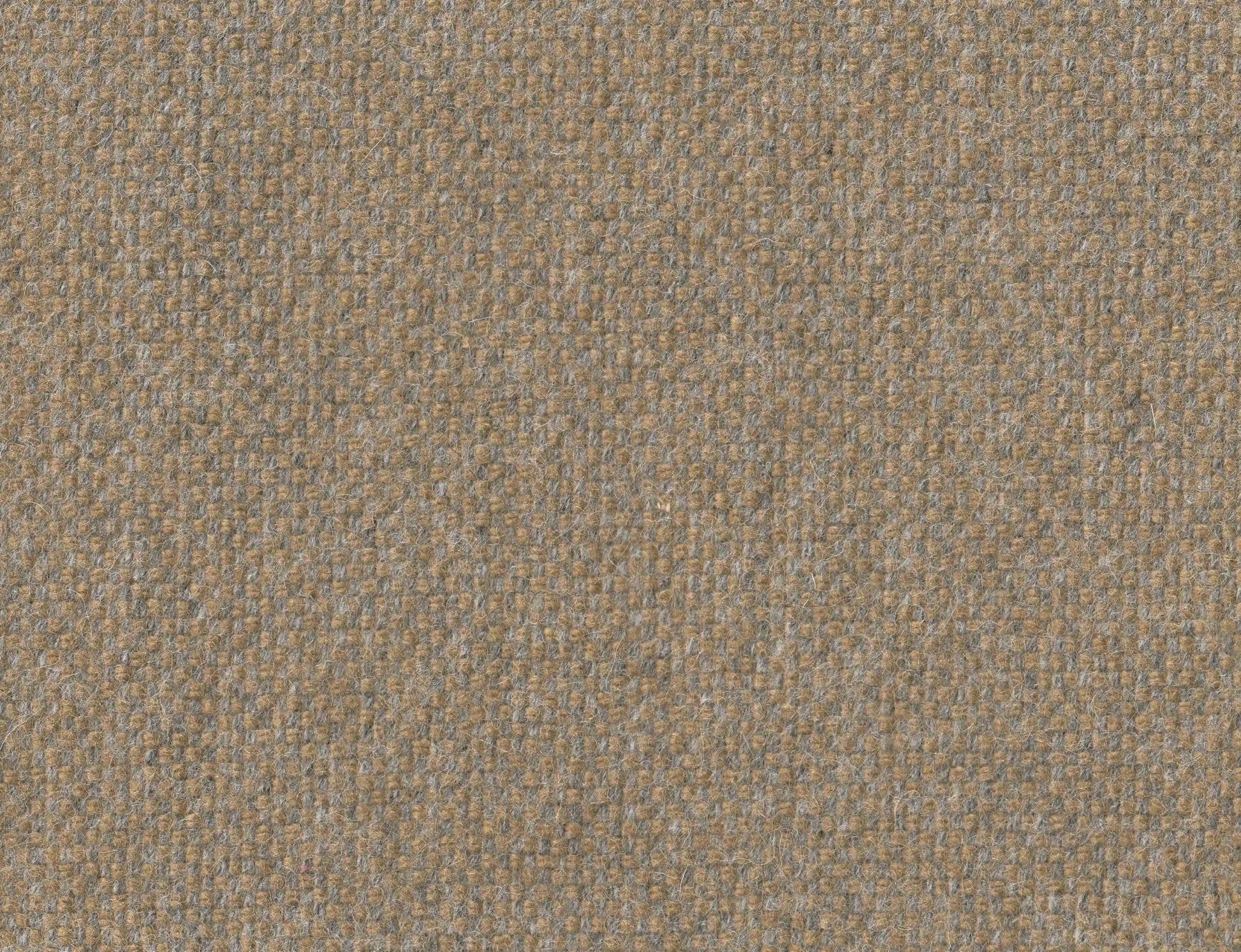 381519.jpg