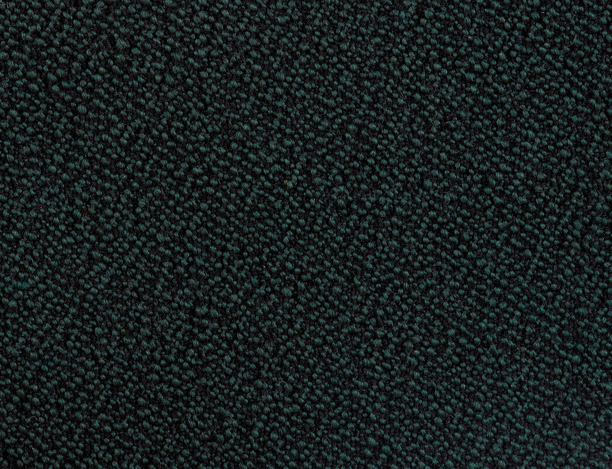 381521.jpg